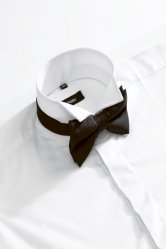 Disley Evening Wing Collar Dress Shirt